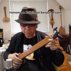 Homemade 2-Stringed Banjo in D open