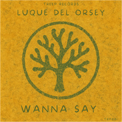 Luque Del Orsey - Wanna Say