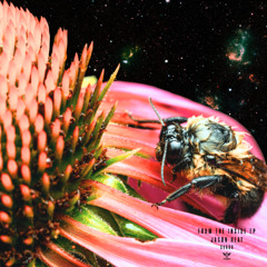 Jason Heat - Je Te Donne (Original Mix)