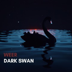 Dark Swan