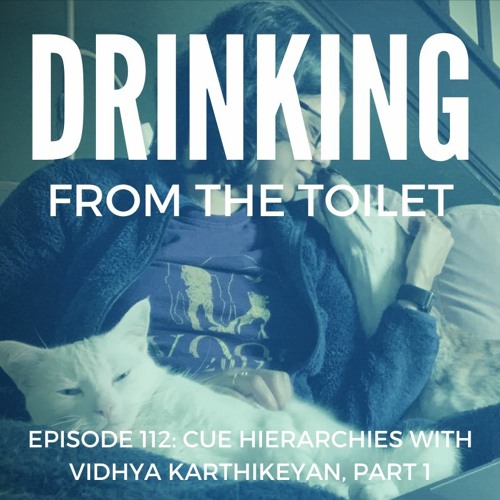 #112: Cue Hierarchies with Vidhya Karthikeyan, Part 1