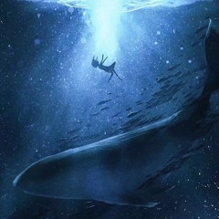 Encounter With A Whale