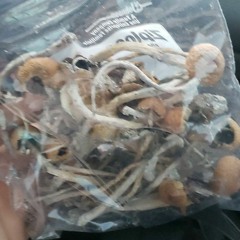 Conceited - daniel_san (prod . GC)