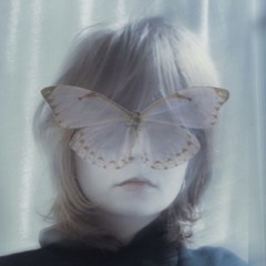 Moth
