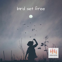 Bird Set Free (LoFi version)