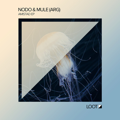 Premiere: Nodo & Mule (ARG) - Amistad [Loot Recordings]