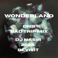 Wonderland DNB Bad trip 2025 Remix