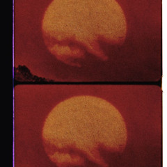 Sussuruss of a Speck of Dust in the Wind