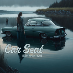 Car Seat (God's presents)