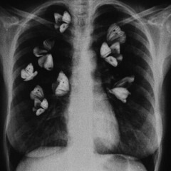 flowers-in love with a ghost (slowed+reverbed)