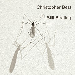 Still Beating (2020 Edition)