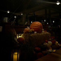 please never fall in love again