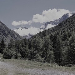 La vie reste belle