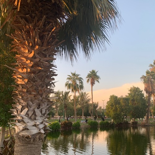 تلاوة أيوبيه رائعة من سورة آل عمران للقارئ أنس العمادي