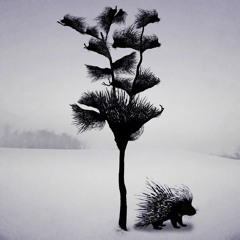 Porcupine Tree Mix (Progressive Rock / Progressive Metal / Altnernative Metal)