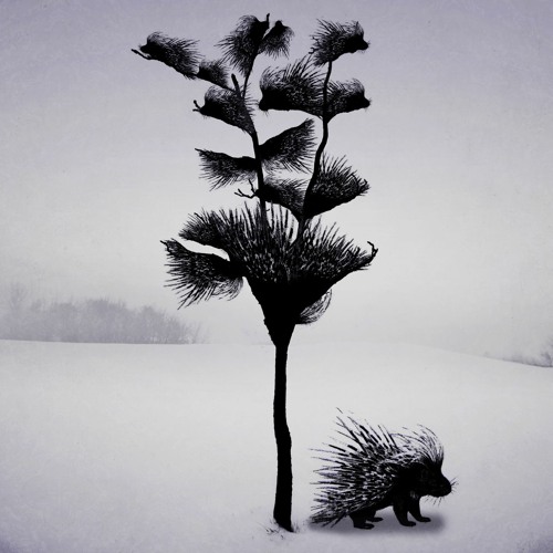 Porcupine Tree CD まとめ+追加3 Porcupine Tree - Official Website