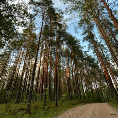 Double Martini– 3 Sekundit Suvest