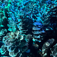 luuszäpfe-2025-sunntig