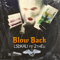 LSDKALI FT 2TMELI-Blow Back