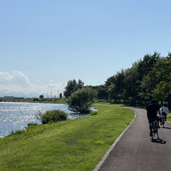 踊ってばかりの国 光の中に(cover)