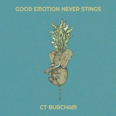 Good Emotion Never Stings