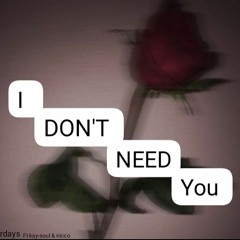 I DON'T NEED YOU FT KAY-SOUL & NICCO