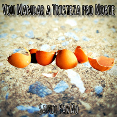 Vou Mandar a Tristeza pro Norte
