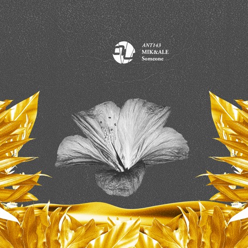 Mik&Ale - Pointed (Original Mix)