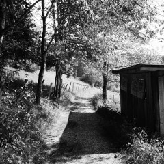 I would like (my ashes to go)