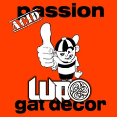 Gat Decor - Passion ( Ludo's 2025 Acid Passion Rework) (Preview)