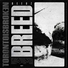 Toronto Is Broken - Breed (feat. REEBZ)