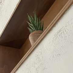 사랑이 아니라고 말하지 말아요(feat.이상어)