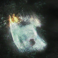 Grisaille (Bonus Track)