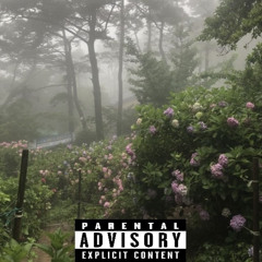 i cant do it p. pierre