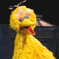 BigBird [Patchwork Staccato]