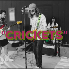 "Crickets"