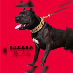 D.I.C.2.D.K (B.I.T.C.H Response)