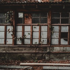 allofthiswillgrowoldandwewilltoo.