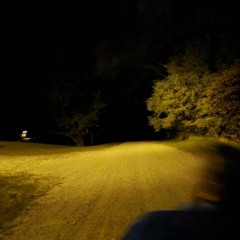 Patient Is The Night