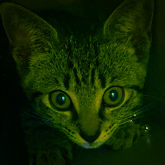 S-C-L-FinalMastering