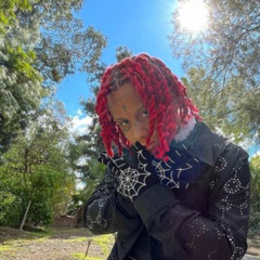 60_Trippie Redd Leaks