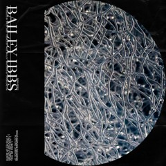 [NSR003] Bailey Ibbs - Posture Damage EP