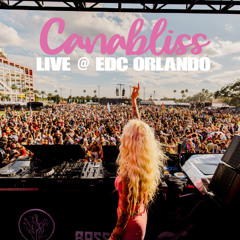 canabliss (Live) @ EDC Orlando 2025
