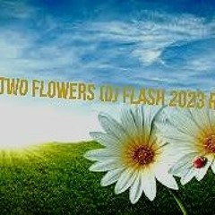 tjam- Two Flowers ( DJ FLASH 2023 REMIX)
