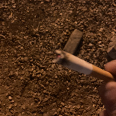 Schrödinger’s Cat