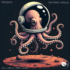 PREMIERE : Priegoss - Rhythmic Nebula (Original Mix) [Vision 3 Records]
