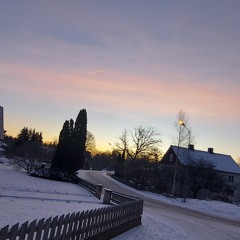 أشكو إلى الله نفسًا جارَ هَادِيها..!