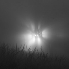 les monstres derrière les rideaux [ avec vi0lette ]