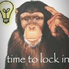 PARADO (prod by pilocas)