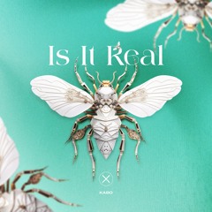 AXIOM0065: KABO - Is It Real